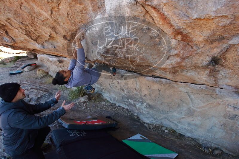 Bouldering in Hueco Tanks on 02/01/2020 with Blue Lizard Climbing and Yoga

Filename: SRM_20200201_1206490.jpg
Aperture: f/5.0
Shutter Speed: 1/250
Body: Canon EOS-1D Mark II
Lens: Canon EF 16-35mm f/2.8 L