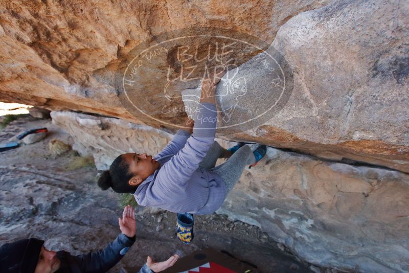 Bouldering in Hueco Tanks on 02/01/2020 with Blue Lizard Climbing and Yoga
Filename: SRM_20200201_1213180.jpg
Aperture: f/5.0
Shutter Speed: 1/250
Body: Canon EOS-1D Mark II
Lens: Canon EF 16-35mm f/2.8 L