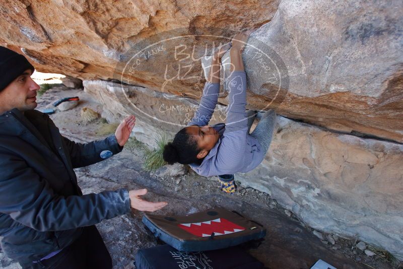 Bouldering in Hueco Tanks on 02/01/2020 with Blue Lizard Climbing and Yoga
Filename: SRM_20200201_1213220.jpg
Aperture: f/4.5
Shutter Speed: 1/250
Body: Canon EOS-1D Mark II
Lens: Canon EF 16-35mm f/2.8 L