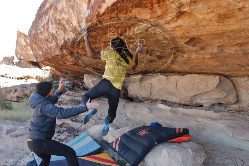 Bouldering in Hueco Tanks on 02/01/2020 with Blue Lizard Climbing and Yoga

Filename: SRM_20200201_1225120.jpg
Aperture: f/5.6
Shutter Speed: 1/250
Body: Canon EOS-1D Mark II
Lens: Canon EF 16-35mm f/2.8 L