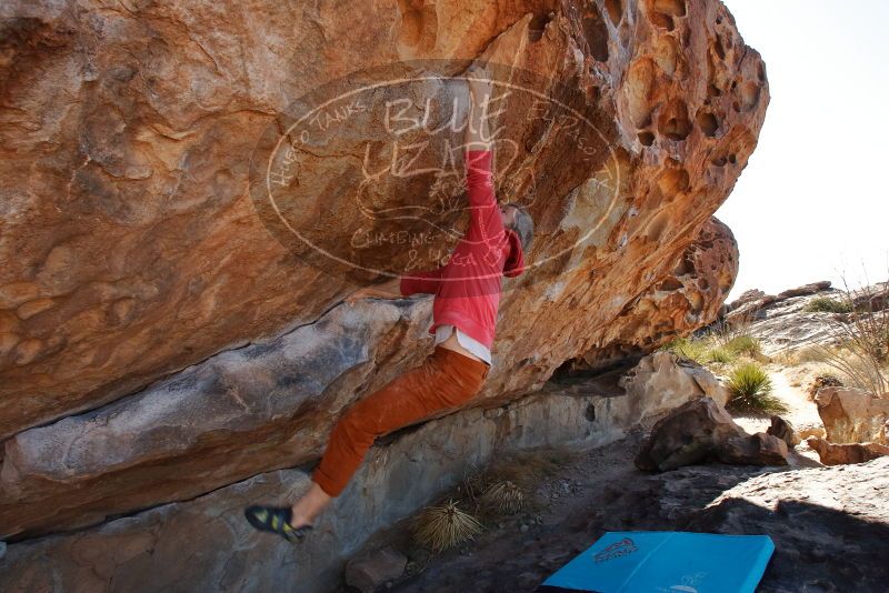 Bouldering in Hueco Tanks on 02/01/2020 with Blue Lizard Climbing and Yoga
Filename: SRM_20200201_1226500.jpg
Aperture: f/9.0
Shutter Speed: 1/250
Body: Canon EOS-1D Mark II
Lens: Canon EF 16-35mm f/2.8 L