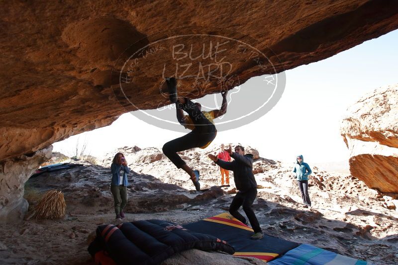 Bouldering in Hueco Tanks on 02/01/2020 with Blue Lizard Climbing and Yoga

Filename: SRM_20200201_1232540.jpg
Aperture: f/6.3
Shutter Speed: 1/250
Body: Canon EOS-1D Mark II
Lens: Canon EF 16-35mm f/2.8 L
