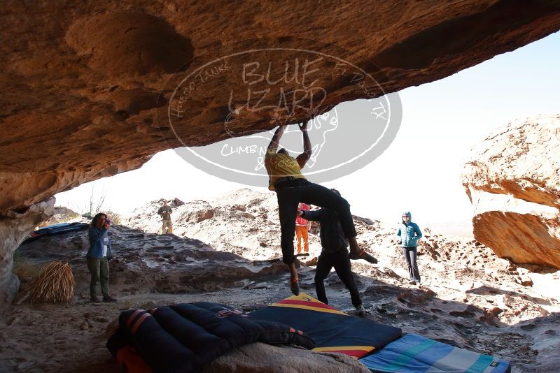 Bouldering in Hueco Tanks on 02/01/2020 with Blue Lizard Climbing and Yoga
Filename: SRM_20200201_1232580.jpg
Aperture: f/6.3
Shutter Speed: 1/250
Body: Canon EOS-1D Mark II
Lens: Canon EF 16-35mm f/2.8 L