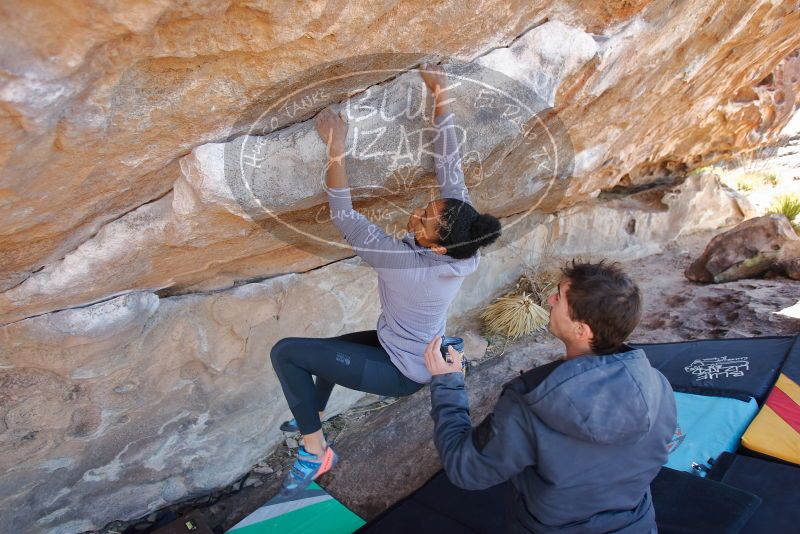 Bouldering in Hueco Tanks on 02/01/2020 with Blue Lizard Climbing and Yoga

Filename: SRM_20200201_1237190.jpg
Aperture: f/3.5
Shutter Speed: 1/250
Body: Canon EOS-1D Mark II
Lens: Canon EF 16-35mm f/2.8 L