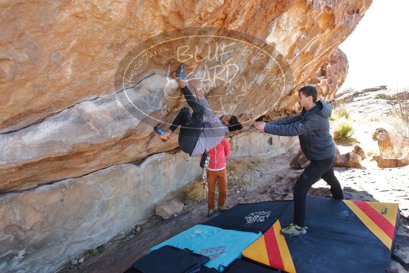 Bouldering in Hueco Tanks on 02/01/2020 with Blue Lizard Climbing and Yoga

Filename: SRM_20200201_1239360.jpg
Aperture: f/5.0
Shutter Speed: 1/250
Body: Canon EOS-1D Mark II
Lens: Canon EF 16-35mm f/2.8 L