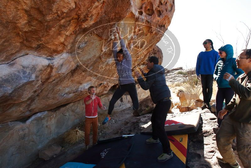 Bouldering in Hueco Tanks on 02/01/2020 with Blue Lizard Climbing and Yoga
Filename: SRM_20200201_1241040.jpg
Aperture: f/7.1
Shutter Speed: 1/320
Body: Canon EOS-1D Mark II
Lens: Canon EF 16-35mm f/2.8 L