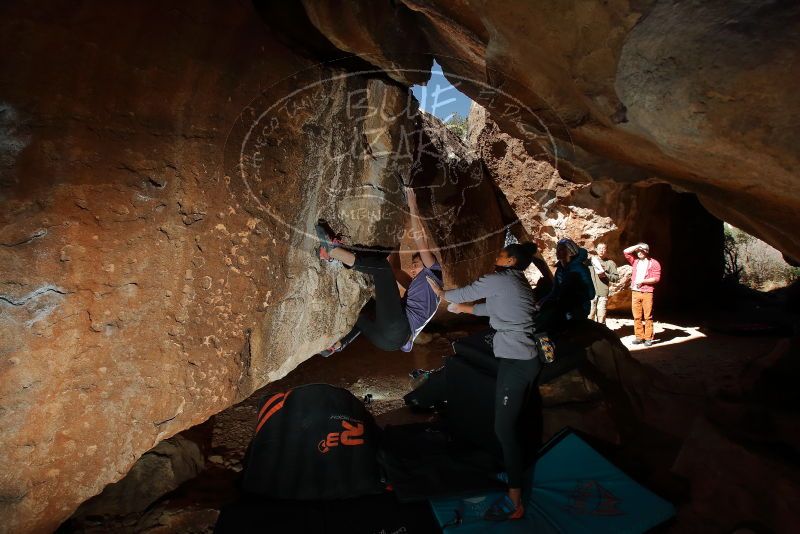 Bouldering in Hueco Tanks on 02/01/2020 with Blue Lizard Climbing and Yoga
Filename: SRM_20200201_1342430.jpg
Aperture: f/8.0
Shutter Speed: 1/250
Body: Canon EOS-1D Mark II
Lens: Canon EF 16-35mm f/2.8 L