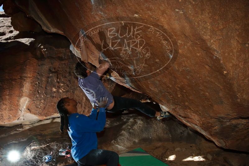 Bouldering in Hueco Tanks on 02/01/2020 with Blue Lizard Climbing and Yoga
Filename: SRM_20200201_1408400.jpg
Aperture: f/8.0
Shutter Speed: 1/250
Body: Canon EOS-1D Mark II
Lens: Canon EF 16-35mm f/2.8 L