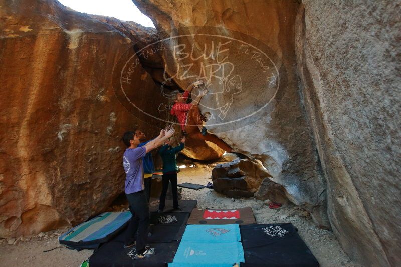 Bouldering in Hueco Tanks on 02/01/2020 with Blue Lizard Climbing and Yoga

Filename: SRM_20200201_1432110.jpg
Aperture: f/4.0
Shutter Speed: 1/250
Body: Canon EOS-1D Mark II
Lens: Canon EF 16-35mm f/2.8 L