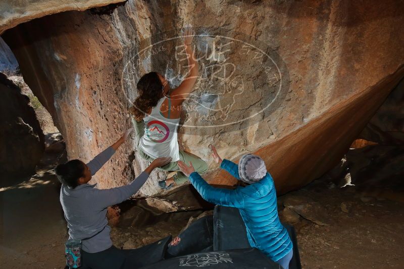 Bouldering in Hueco Tanks on 02/01/2020 with Blue Lizard Climbing and Yoga

Filename: SRM_20200201_1512150.jpg
Aperture: f/8.0
Shutter Speed: 1/250
Body: Canon EOS-1D Mark II
Lens: Canon EF 16-35mm f/2.8 L