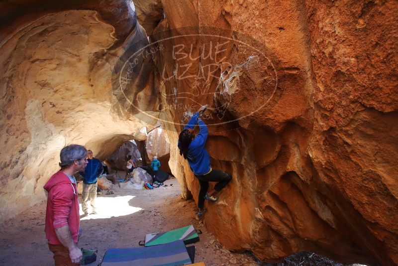 Bouldering in Hueco Tanks on 02/01/2020 with Blue Lizard Climbing and Yoga
Filename: SRM_20200201_1515490.jpg
Aperture: f/5.0
Shutter Speed: 1/250
Body: Canon EOS-1D Mark II
Lens: Canon EF 16-35mm f/2.8 L