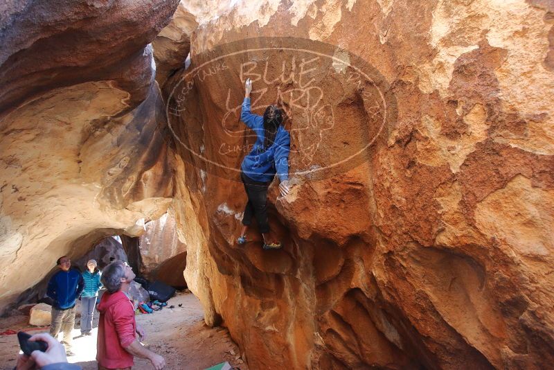 Bouldering in Hueco Tanks on 02/01/2020 with Blue Lizard Climbing and Yoga
Filename: SRM_20200201_1516201.jpg
Aperture: f/5.0
Shutter Speed: 1/250
Body: Canon EOS-1D Mark II
Lens: Canon EF 16-35mm f/2.8 L