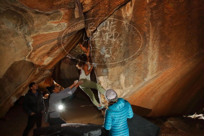 

Filename: SRM_20200201_1524100.jpg
Aperture: f/8.0
Shutter Speed: 1/250
Body: Canon EOS-1D Mark II
Lens: Canon EF 16-35mm f/2.8 L