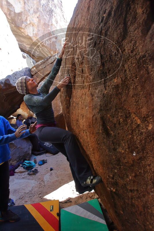 Bouldering in Hueco Tanks on 02/01/2020 with Blue Lizard Climbing and Yoga

Filename: SRM_20200201_1539420.jpg
Aperture: f/5.6
Shutter Speed: 1/250
Body: Canon EOS-1D Mark II
Lens: Canon EF 16-35mm f/2.8 L