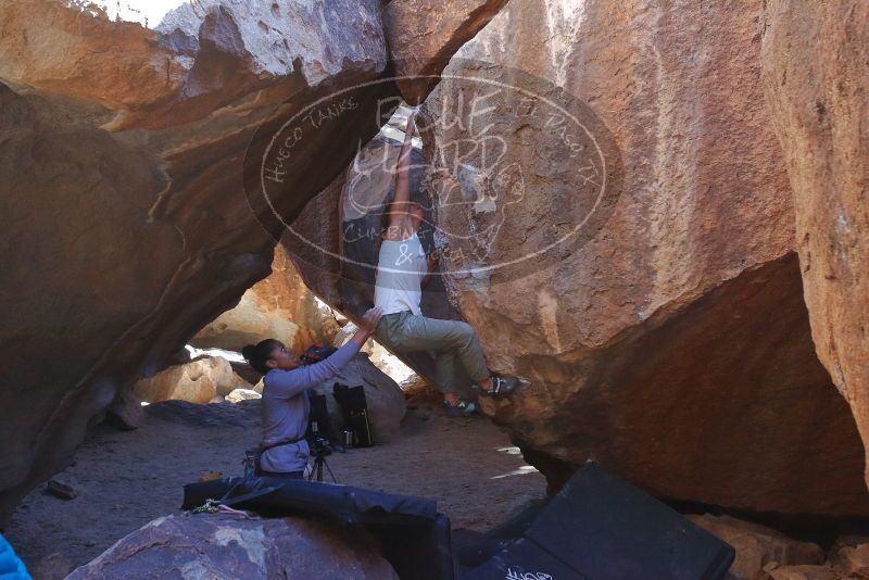 Bouldering in Hueco Tanks on 02/01/2020 with Blue Lizard Climbing and Yoga

Filename: SRM_20200201_1540190.jpg
Aperture: f/6.3
Shutter Speed: 1/250
Body: Canon EOS-1D Mark II
Lens: Canon EF 16-35mm f/2.8 L