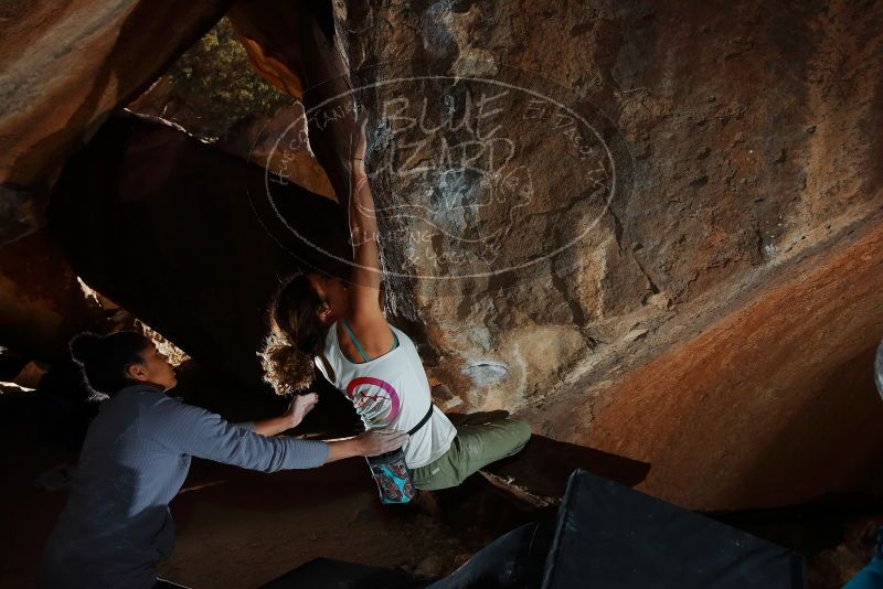 Bouldering in Hueco Tanks on 02/01/2020 with Blue Lizard Climbing and Yoga

Filename: SRM_20200201_1559520.jpg
Aperture: f/8.0
Shutter Speed: 1/250
Body: Canon EOS-1D Mark II
Lens: Canon EF 16-35mm f/2.8 L