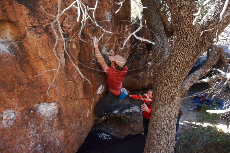 Bouldering in Hueco Tanks on 02/08/2020 with Blue Lizard Climbing and Yoga
Filename: SRM_20200208_1124530.jpg
Aperture: f/5.6
Shutter Speed: 1/250
Body: Canon EOS-1D Mark II
Lens: Canon EF 16-35mm f/2.8 L