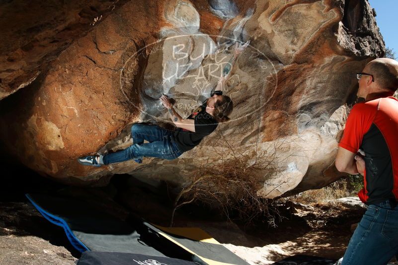 Bouldering in Hueco Tanks on 02/08/2020 with Blue Lizard Climbing and Yoga

Filename: SRM_20200208_1203230.jpg
Aperture: f/8.0
Shutter Speed: 1/250
Body: Canon EOS-1D Mark II
Lens: Canon EF 16-35mm f/2.8 L