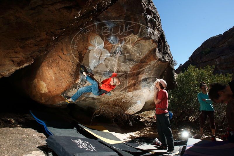 Bouldering in Hueco Tanks on 02/08/2020 with Blue Lizard Climbing and Yoga
Filename: SRM_20200208_1205310.jpg
Aperture: f/8.0
Shutter Speed: 1/250
Body: Canon EOS-1D Mark II
Lens: Canon EF 16-35mm f/2.8 L