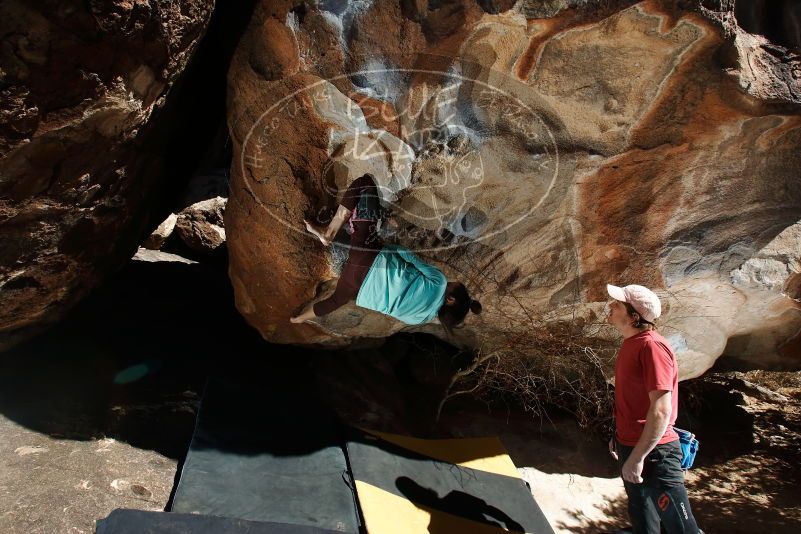 Bouldering in Hueco Tanks on 02/08/2020 with Blue Lizard Climbing and Yoga
Filename: SRM_20200208_1212560.jpg
Aperture: f/8.0
Shutter Speed: 1/250
Body: Canon EOS-1D Mark II
Lens: Canon EF 16-35mm f/2.8 L