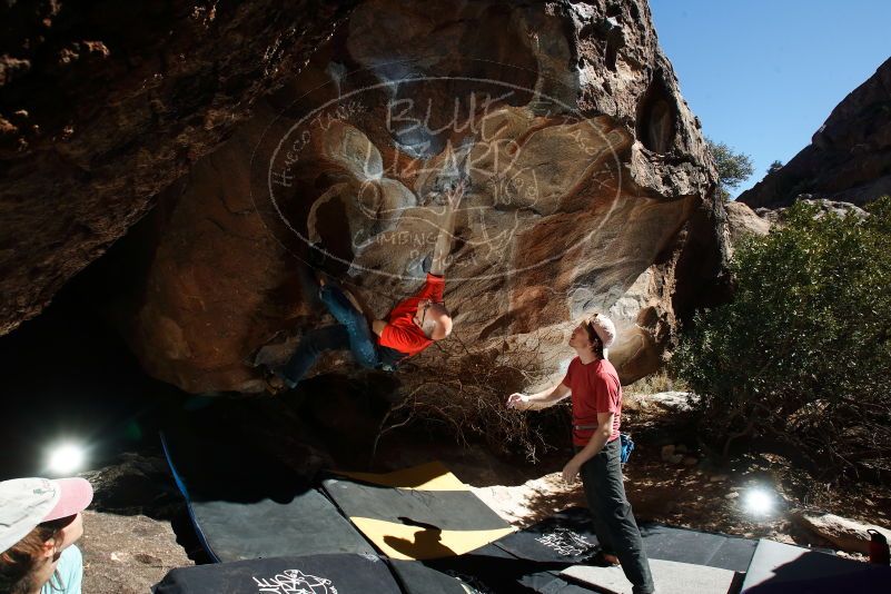 Bouldering in Hueco Tanks on 02/08/2020 with Blue Lizard Climbing and Yoga

Filename: SRM_20200208_1219090.jpg
Aperture: f/8.0
Shutter Speed: 1/250
Body: Canon EOS-1D Mark II
Lens: Canon EF 16-35mm f/2.8 L