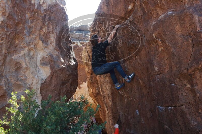 Bouldering in Hueco Tanks on 02/08/2020 with Blue Lizard Climbing and Yoga

Filename: SRM_20200208_1249270.jpg
Aperture: f/5.0
Shutter Speed: 1/250
Body: Canon EOS-1D Mark II
Lens: Canon EF 50mm f/1.8 II