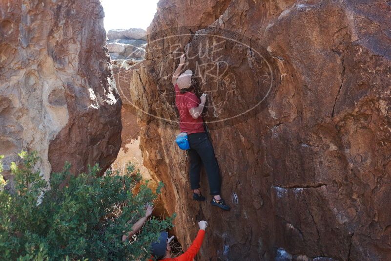 Bouldering in Hueco Tanks on 02/08/2020 with Blue Lizard Climbing and Yoga
Filename: SRM_20200208_1252400.jpg
Aperture: f/4.5
Shutter Speed: 1/250
Body: Canon EOS-1D Mark II
Lens: Canon EF 50mm f/1.8 II
