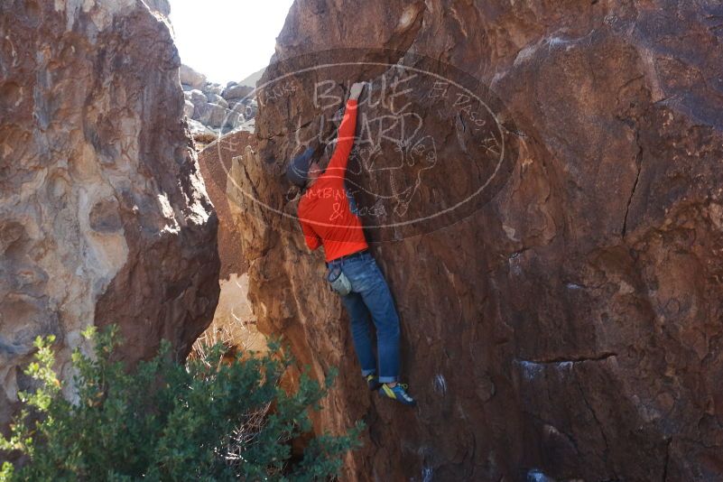 Bouldering in Hueco Tanks on 02/08/2020 with Blue Lizard Climbing and Yoga
Filename: SRM_20200208_1254150.jpg
Aperture: f/5.0
Shutter Speed: 1/250
Body: Canon EOS-1D Mark II
Lens: Canon EF 50mm f/1.8 II
