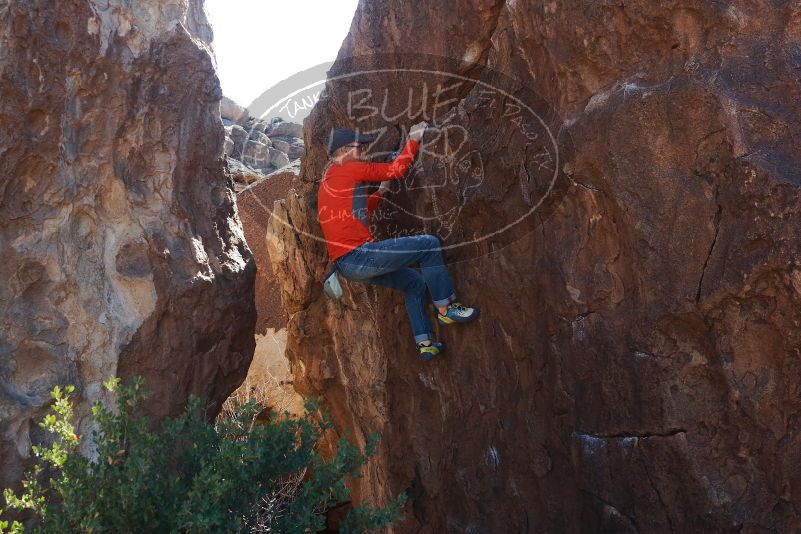 Bouldering in Hueco Tanks on 02/08/2020 with Blue Lizard Climbing and Yoga

Filename: SRM_20200208_1254210.jpg
Aperture: f/5.6
Shutter Speed: 1/250
Body: Canon EOS-1D Mark II
Lens: Canon EF 50mm f/1.8 II