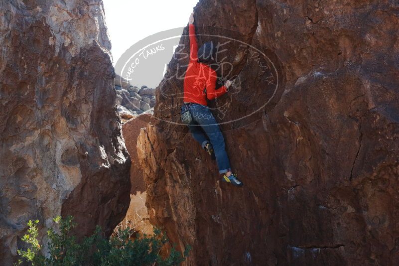 Bouldering in Hueco Tanks on 02/08/2020 with Blue Lizard Climbing and Yoga
Filename: SRM_20200208_1254280.jpg
Aperture: f/5.6
Shutter Speed: 1/250
Body: Canon EOS-1D Mark II
Lens: Canon EF 50mm f/1.8 II
