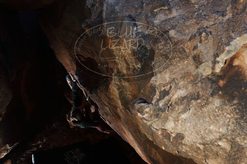 Bouldering in Hueco Tanks on 02/08/2020 with Blue Lizard Climbing and Yoga
Filename: SRM_20200208_1453110.jpg
Aperture: f/5.6
Shutter Speed: 1/250
Body: Canon EOS-1D Mark II
Lens: Canon EF 16-35mm f/2.8 L