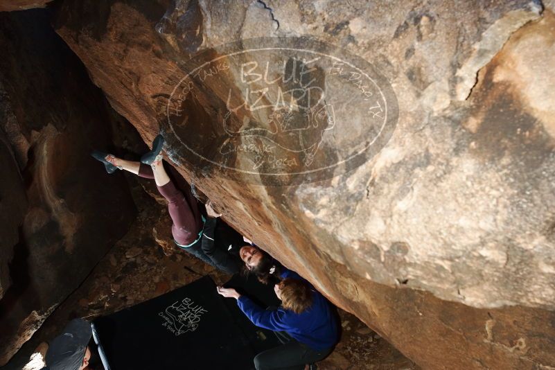 Bouldering in Hueco Tanks on 02/08/2020 with Blue Lizard Climbing and Yoga
Filename: SRM_20200208_1456120.jpg
Aperture: f/5.6
Shutter Speed: 1/250
Body: Canon EOS-1D Mark II
Lens: Canon EF 16-35mm f/2.8 L