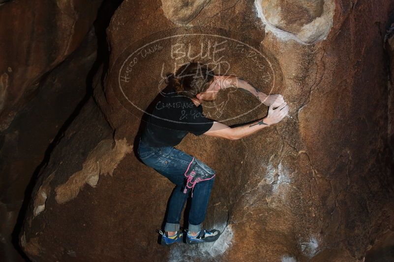 Bouldering in Hueco Tanks on 02/08/2020 with Blue Lizard Climbing and Yoga

Filename: SRM_20200208_1506110.jpg
Aperture: f/5.6
Shutter Speed: 1/250
Body: Canon EOS-1D Mark II
Lens: Canon EF 16-35mm f/2.8 L
