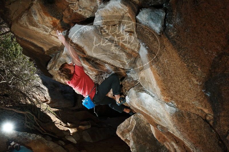 Bouldering in Hueco Tanks on 02/08/2020 with Blue Lizard Climbing and Yoga
Filename: SRM_20200208_1541420.jpg
Aperture: f/8.0
Shutter Speed: 1/250
Body: Canon EOS-1D Mark II
Lens: Canon EF 16-35mm f/2.8 L