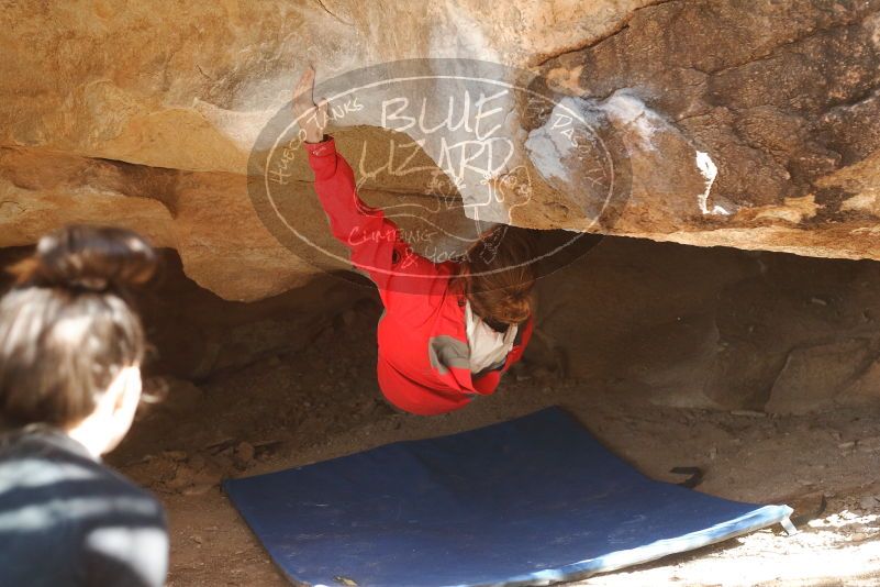 Bouldering in Hueco Tanks on 02/08/2020 with Blue Lizard Climbing and Yoga
Filename: SRM_20200208_1549330.jpg
Aperture: f/3.5
Shutter Speed: 1/250
Body: Canon EOS-1D Mark II
Lens: Canon EF 50mm f/1.8 II