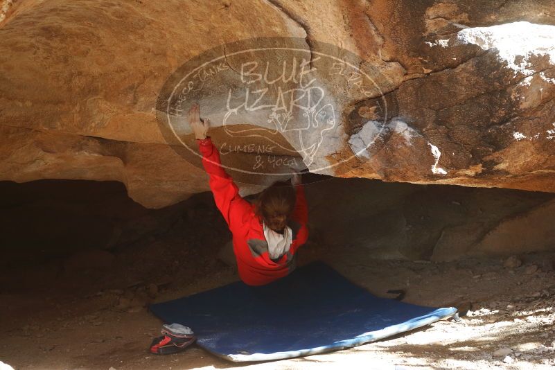 Bouldering in Hueco Tanks on 02/08/2020 with Blue Lizard Climbing and Yoga

Filename: SRM_20200208_1552500.jpg
Aperture: f/4.0
Shutter Speed: 1/250
Body: Canon EOS-1D Mark II
Lens: Canon EF 50mm f/1.8 II