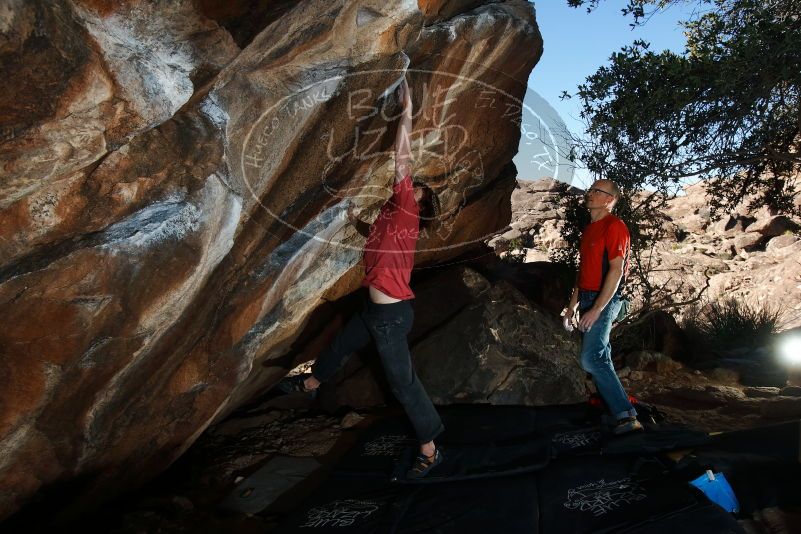 Bouldering in Hueco Tanks on 02/08/2020 with Blue Lizard Climbing and Yoga

Filename: SRM_20200208_1607430.jpg
Aperture: f/8.0
Shutter Speed: 1/250
Body: Canon EOS-1D Mark II
Lens: Canon EF 16-35mm f/2.8 L