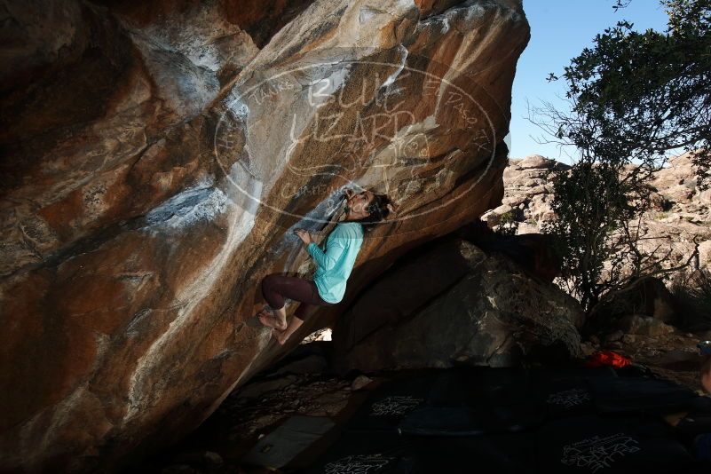 Bouldering in Hueco Tanks on 02/08/2020 with Blue Lizard Climbing and Yoga

Filename: SRM_20200208_1611060.jpg
Aperture: f/8.0
Shutter Speed: 1/250
Body: Canon EOS-1D Mark II
Lens: Canon EF 16-35mm f/2.8 L
