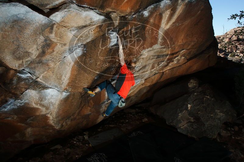 Bouldering in Hueco Tanks on 02/08/2020 with Blue Lizard Climbing and Yoga
Filename: SRM_20200208_1624480.jpg
Aperture: f/8.0
Shutter Speed: 1/250
Body: Canon EOS-1D Mark II
Lens: Canon EF 16-35mm f/2.8 L