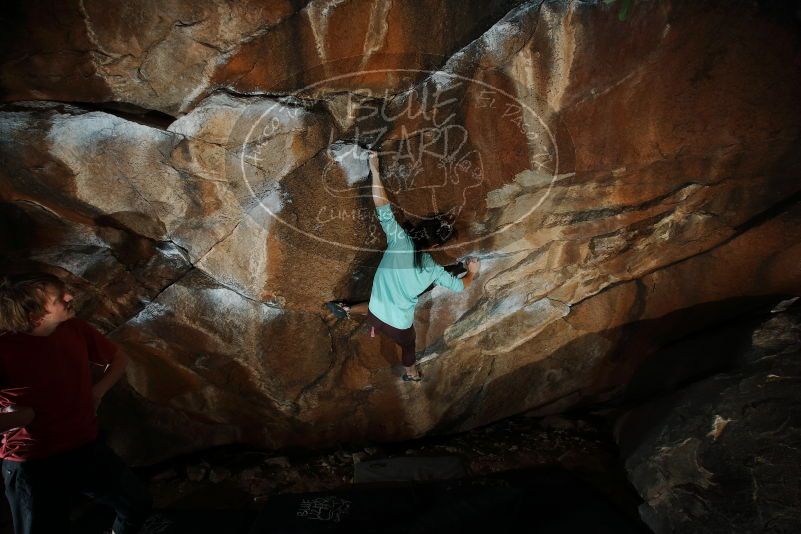 Bouldering in Hueco Tanks on 02/08/2020 with Blue Lizard Climbing and Yoga

Filename: SRM_20200208_1628110.jpg
Aperture: f/8.0
Shutter Speed: 1/250
Body: Canon EOS-1D Mark II
Lens: Canon EF 16-35mm f/2.8 L