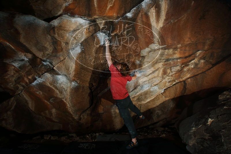 Bouldering in Hueco Tanks on 02/08/2020 with Blue Lizard Climbing and Yoga
Filename: SRM_20200208_1631490.jpg
Aperture: f/8.0
Shutter Speed: 1/250
Body: Canon EOS-1D Mark II
Lens: Canon EF 16-35mm f/2.8 L