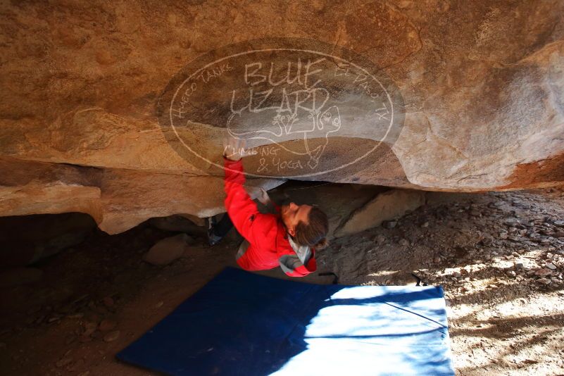 Bouldering in Hueco Tanks on 02/08/2020 with Blue Lizard Climbing and Yoga
Filename: SRM_20200208_1637160.jpg
Aperture: f/3.5
Shutter Speed: 1/250
Body: Canon EOS-1D Mark II
Lens: Canon EF 16-35mm f/2.8 L