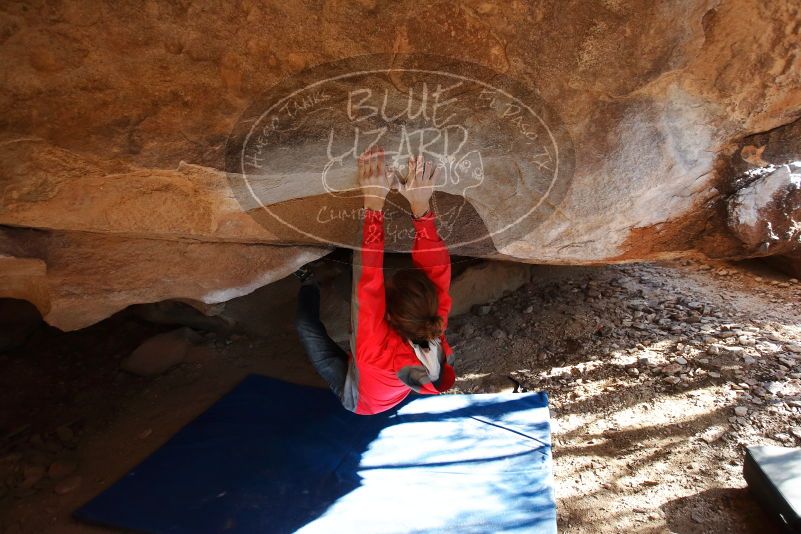 Bouldering in Hueco Tanks on 02/08/2020 with Blue Lizard Climbing and Yoga
Filename: SRM_20200208_1637220.jpg
Aperture: f/3.5
Shutter Speed: 1/250
Body: Canon EOS-1D Mark II
Lens: Canon EF 16-35mm f/2.8 L