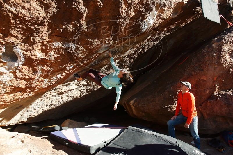 Bouldering in Hueco Tanks on 02/08/2020 with Blue Lizard Climbing and Yoga
Filename: SRM_20200208_1716410.jpg
Aperture: f/6.3
Shutter Speed: 1/250
Body: Canon EOS-1D Mark II
Lens: Canon EF 16-35mm f/2.8 L