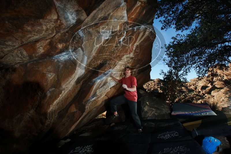 Bouldering in Hueco Tanks on 02/08/2020 with Blue Lizard Climbing and Yoga
Filename: SRM_20200208_1738220.jpg
Aperture: f/8.0
Shutter Speed: 1/250
Body: Canon EOS-1D Mark II
Lens: Canon EF 16-35mm f/2.8 L