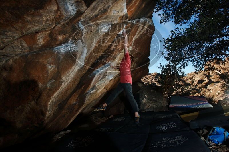 Bouldering in Hueco Tanks on 02/08/2020 with Blue Lizard Climbing and Yoga
Filename: SRM_20200208_1740080.jpg
Aperture: f/8.0
Shutter Speed: 1/250
Body: Canon EOS-1D Mark II
Lens: Canon EF 16-35mm f/2.8 L