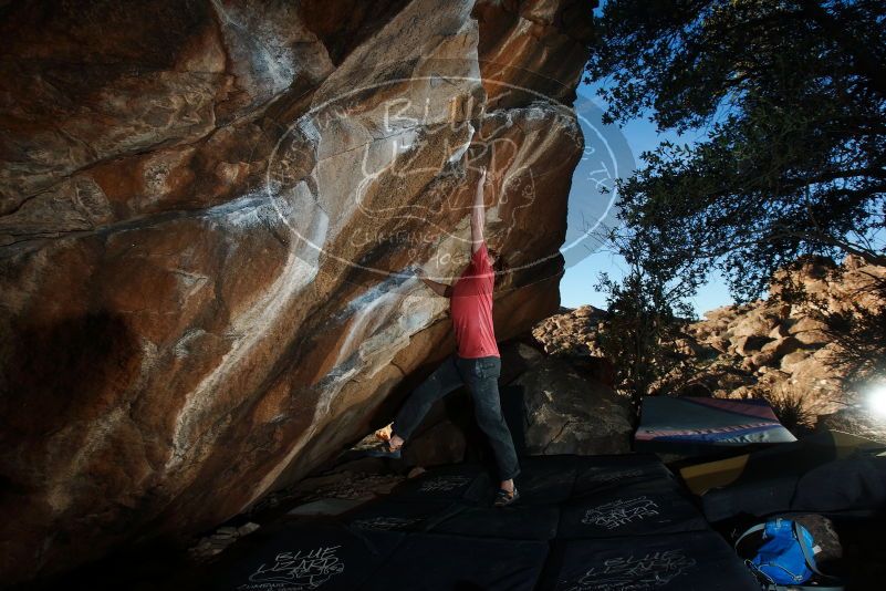 Bouldering in Hueco Tanks on 02/08/2020 with Blue Lizard Climbing and Yoga
Filename: SRM_20200208_1747320.jpg
Aperture: f/8.0
Shutter Speed: 1/250
Body: Canon EOS-1D Mark II
Lens: Canon EF 16-35mm f/2.8 L