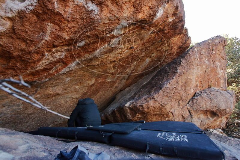 

Filename: SRM_20200106_1217540.jpg
Aperture: f/5.0
Shutter Speed: 1/320
Body: Canon EOS-1D Mark II
Lens: Canon EF 16-35mm f/2.8 L