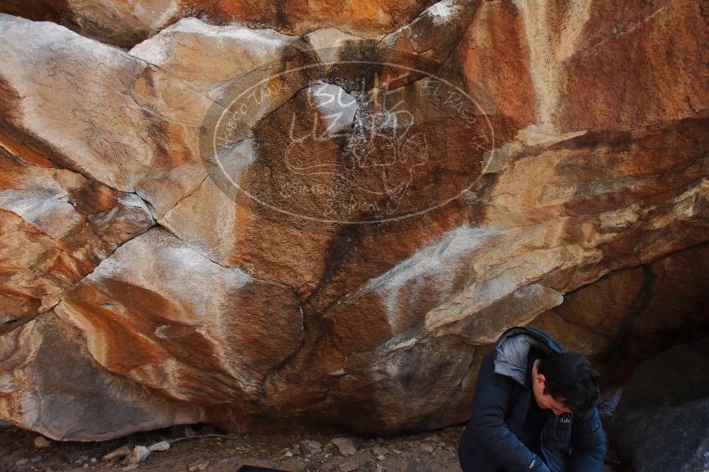 

Filename: SRM_20200106_1232500.jpg
Aperture: f/4.0
Shutter Speed: 1/250
Body: Canon EOS-1D Mark II
Lens: Canon EF 16-35mm f/2.8 L