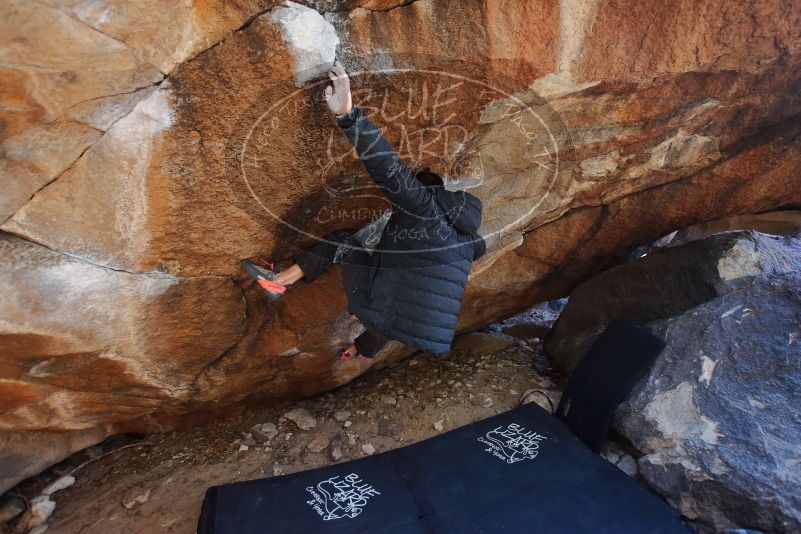 Bouldering in Hueco Tanks on 01/06/2020 with Blue Lizard Climbing and Yoga
Filename: SRM_20200106_1236250.jpg
Aperture: f/3.5
Shutter Speed: 1/250
Body: Canon EOS-1D Mark II
Lens: Canon EF 16-35mm f/2.8 L